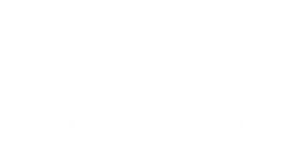 electronic playground lwhite ogo