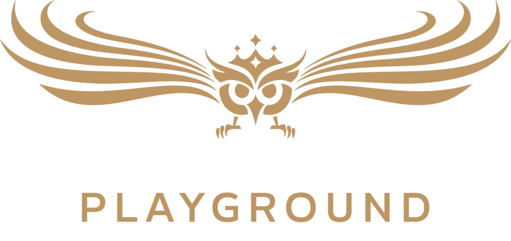 Electronic playground - web design, woodland, california