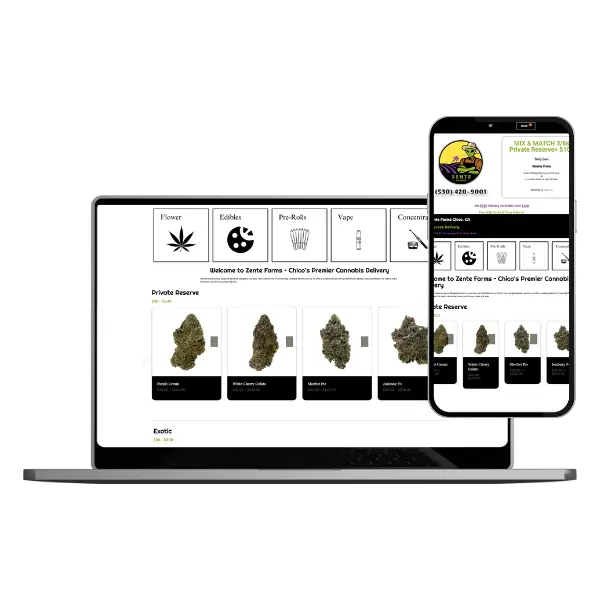 Electronic playground - web designer roseville