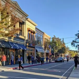 b680bd4e-5e138dda-6b84-4892-9f7b-c204fc91435fwebp - Electronic Playground Electronic playground - roseville street scene with local businesses illustrating google ads local targeting