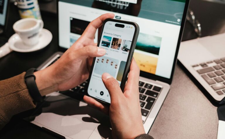 Web designer for a roseville business - Electronic Playground - Electronic Playground