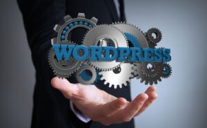 Wordpress Web development