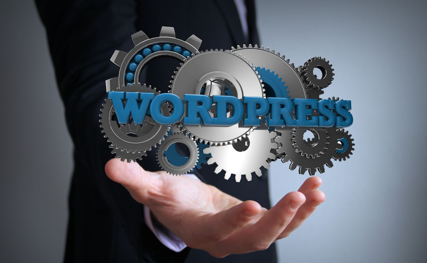 Roseville business owner comparing WordPress and website builder options for a new site